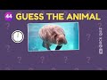 Only 26% Guess These Animal Quiz ?s Correct! Guess The Country #trivia #animalquiz  #animals