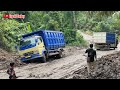 Truck Canter Ditarik Paksa|| Fuso Oren Mengamuk Melihat Tak Kunjung Di Evakuasi