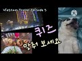 베트남 다낭 여행기 마지막 에피소드 5 +퀴즈The Last Story of Da Nang Travel in Vietnam Episode 5