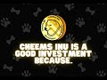 Cheems Inu Gains over 800%!! Another Glitch??