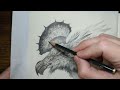 Master the Art of Drawing Realistic Fur and Feathers