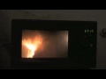 Toy microwave burning down in a real microwave.