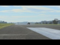 Aston Martin V12 Zagato Fly-by