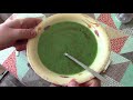 Stinging Nettle Soup - Delicious! - Foraging Tips And Recipe
