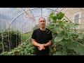 Grow More Food in Less Space Using Relay Planting