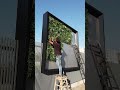 🔥Artificial greenwall Installation for wall Decor | Exterior Decor | Artificial greenwall in surat