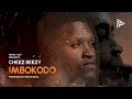 Cheez Beezy - IMBOKODO (Official Visualizer)