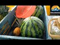 Farm Day @yuen long, Hong Kong 🇭🇰 #video #viral #trending #farmday #farmer #farmlife