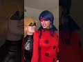 Miraculous Ladybug and Cat Noir