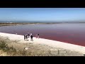 Have you ever seen a pink color pond ??  Alviso Marina County salt pond , San Jose ,California