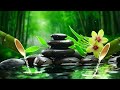 Relaxing Music to Rest the Mind - Meditation Music, Peaceful Music, Stress Relief, Zen, Spa, Sleep