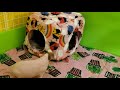 How to Make a Cozy Fleece Cube for Guinea Pigs or Small Animals | DIY Tutorial -  Guinea Pig Café