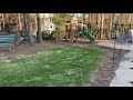 Zoysia Grass Seed Video 9.  Back yard early season