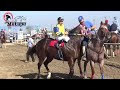 Carreras de Caballos en Madera, California 13 de Noviembre 2016