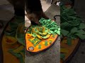 GSD Puppy eats from snuffle mat