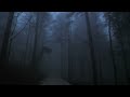 Virtual Drive Through The Dark and Foggy Forest / Rain and Thunder