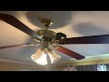 Parakeet rides a ceiling fan