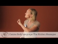 Canine Body Language  The Hidden Messages HD