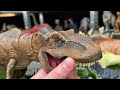 EXTREME Review Of ALL Jurassic World T-Rex Figures | Biggest To Smallest & More! | Amazing Dinosaurs