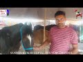दर्जन भर खरीदे  घोड़े - पार्ट 33 Balotra Horse Market 2024 Tilwada Pashu Mela Horse Sale Price Video