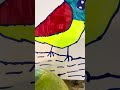 How to draw a bird ￼