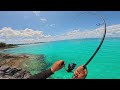 Action-Packed Fishing in Crystal Clear Waters 🌊