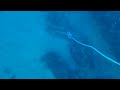 100 Foot Dive Descent in 50 Seconds - 60 Feet of Visibility at the Meg Ledge