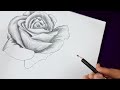 How to draw a realistic Rose:Pencil Sketch