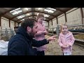 Farming Profits - More Money Per Lamb