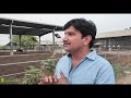 Left MNC job to start High-Tech Dairy Farm || Jersy HF Cow farming business India 🇳🇿