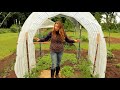 She DOUBLED the Vegetable Harvest by doing this ONE Thing | Summer Garden Tour