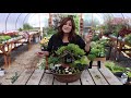 Shade Fairy Garden w/ DIY Living Moss Roof! 🧚🌿💚 // Garden Answer