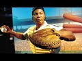 Top 10 Negro Leaguers Who NEVER PLAYED MLB... INSANE TALENT!!!