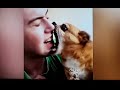 Three minutes of funny pets @pets Town #funny #pets