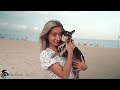 Gentle Sounds for Dogs | Reduce Stress and Promote Sleep | Treat separation anxiety