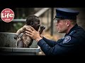 Police Officer Saves Black Baby Discarded in the Trash, But Years Later is Shaken by Tragic News...