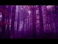 Relaxing Autumn Forest~Fog ,Rain and Thunder in the Colourful Forest~Deep Relaxation/10 Hours