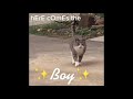 Here Comes the Boy (lofi remix)