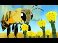 Wild Kratts | Bugs Part 1 | Insects, Arachnids, Worms and other Creepy Crawlies
