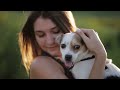 10 Hours Of Relaxing Music For Anxious Dogs 🐶 The Best Anti-Anxiety Music For Dogs!