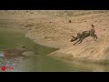 Crocodiles Wait For Leopard Across The River | Harsh Life