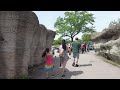 Toronto Walk | A Day At The Toronto Zoo | July 2024