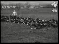 DEFENCE: Tyneside Irish in training (1916)