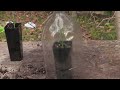 How to Grow Lavender from Cuttings - Easy Propagation Method
