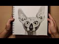 Sphinx Cat Animal portrait in INKtober | Inktober part 3