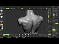 Torso Speed sculpting