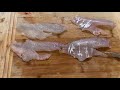 How To Fillet A Surf Perch Easily