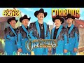 Los Originales De San Juan 🎸🎸 Puros Corridos Originales 🎸🎸 Musica Corridos Mix