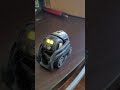 VecGPT: An Anki Vector Robot with ChatGPT4