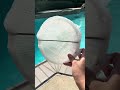 Cheaper Pool Skimmer Sock - remove small debris, sand, pollen, cottonwood, dog hair